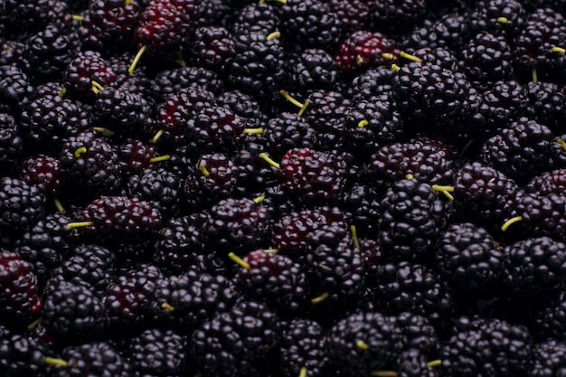 Mulberry Snap Bar